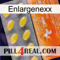 Enlargenexx new05